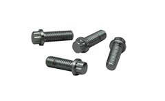 FLANGE HEAD BOLTS